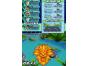 Screenshot of Digimon World DS (Nintendo DS)