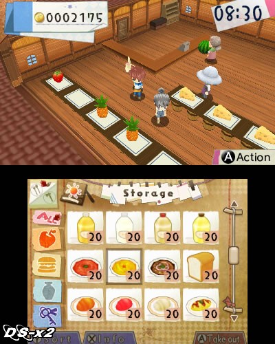 Screenshots of Hometown Story for Nintendo 3DS