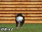 Screenshot of My Pet Chimp (Nintendo DS)