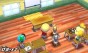 Screenshot of Animal Crossing: Happy Home Designer (Nintendo 3DS)