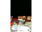 Screenshot of Animal Crossing: Wild World (Nintendo DS)