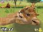 Screenshot of Animal Paradise Wild (Nintendo DS)