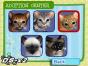 Screenshot of Catz (Nintendo DS)