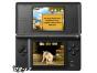 Screenshot of Crazy Pig (Nintendo DS)