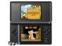Screenshot of Crazy Pig (Nintendo DS)