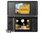 Screenshot of Crazy Pig (Nintendo DS)