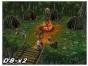 Screenshot of Dawn of Heroes (Nintendo DS)