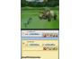 Screenshot of Dino GrandPrix (Nintendo DS)