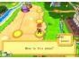Screenshot of Dokapon Kingdom (Wii)