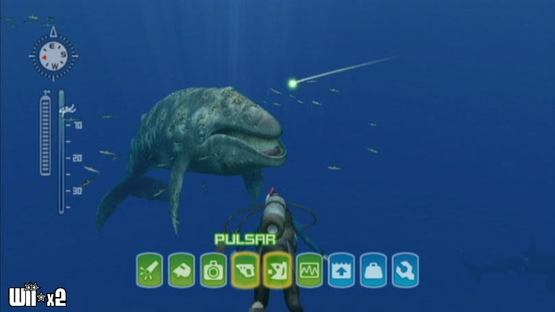Screenshots of Endless Ocean 2 for Wii