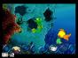 Screenshot of Freddi Fish: Kelp Seed Mystery (Wii)