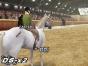 Screenshot of Horse Life (Nintendo DS)