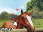 Screenshot of Horse Life (Nintendo DS)