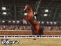 Screenshot of Horse Life (Nintendo DS)