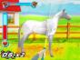 Screenshot of Horsez (Nintendo DS)