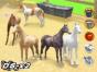 Screenshot of Horsez (Nintendo DS)