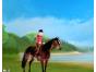 Screenshot of Horsez 2 (Wii)