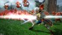 Screenshot of Hyrule Warriors (Wii U)