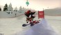 Screenshot of Mario & Sonic at the Olympic Winter Games Sochi 2014 (Wii U)