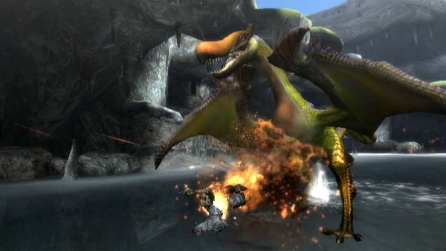 Screenshots of Monster Hunter Tri for Wii
