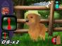 Screenshot of My Best Friends - Cats & Dogs (Nintendo DS)