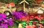 Screenshot of My Garden (Nintendo 3DS)
