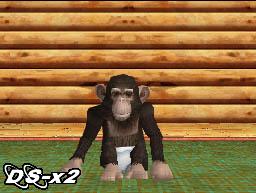 My Pet Chimp - Nintendo DS
