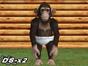 Screenshot of My Pet Chimp (Nintendo DS)