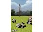 Screenshot of National Geographic Panda (Nintendo DS)