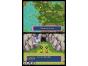 Screenshot of Pokémon Mystery Dungeon: Blue Rescue Team (Nintendo DS)