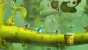 Screenshot of Rayman Legends (Wii U)