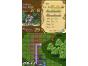 Screenshot of Rondo of Swords (Nintendo DS)