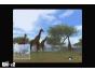 Screenshot of Safar'Wii (Wii)