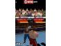 Screenshot of Showtime Championship Boxing (Nintendo DS)
