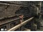 Screenshot of Tomb Raider: Underworld (Wii)