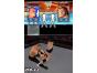 Screenshot of WWE Smackdown vs. Raw 2008 (Nintendo DS)